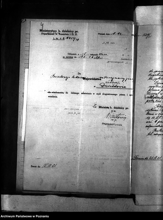 Obraz 8 z jednostki "Nosacizna - Lubawa"