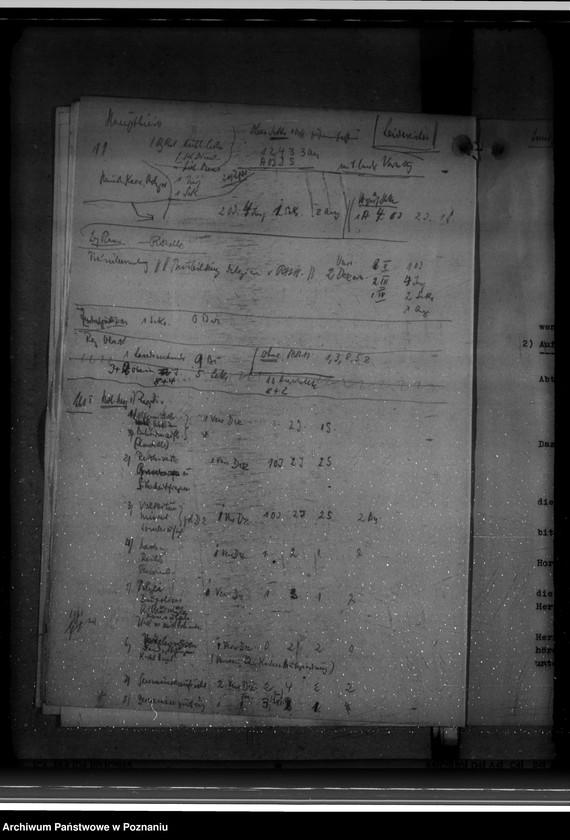 Obraz 12 z jednostki "Gliederung - Landräte- des Warthegau"