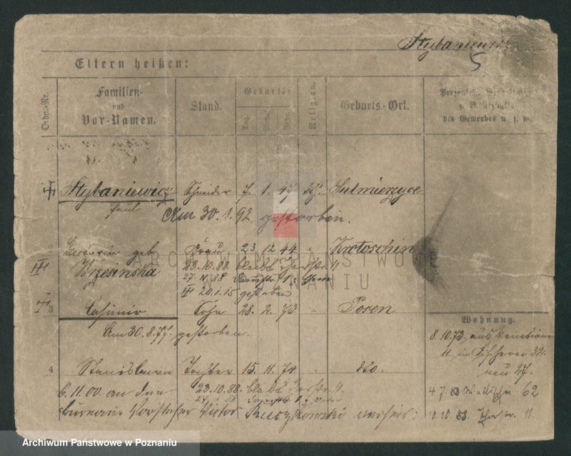 Obraz 12 z jednostki "Stybaniewicz - Suchopartka"