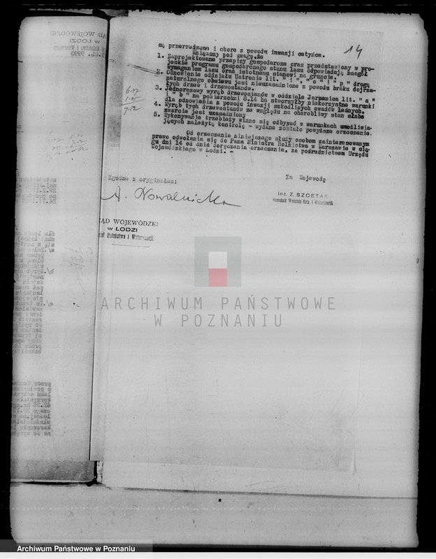 Obraz 18 z jednostki "Sprawy nieprawnych wyrębów lasu w majątku Janków w powiecie kaliskim"