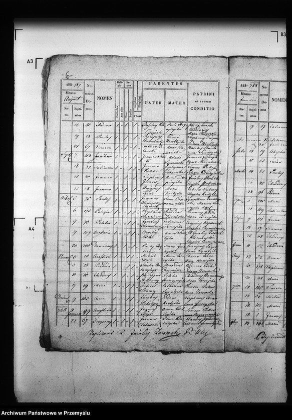 Obraz 10 z jednostki "[Kopie ksiąg metrykalnych parafii Ulicko (dekanat Niemirów)]"