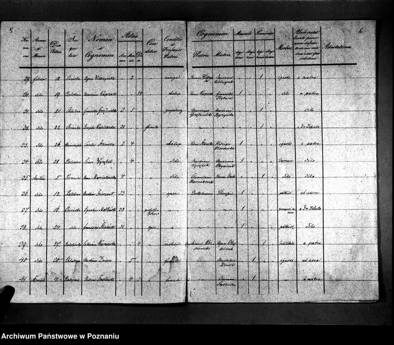 image.from.unit.number "Duplikat zmarłych"