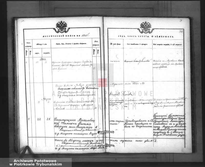 image.from.team "Akta stanu cywilnego Parafii Prawosławnej w Granicy"