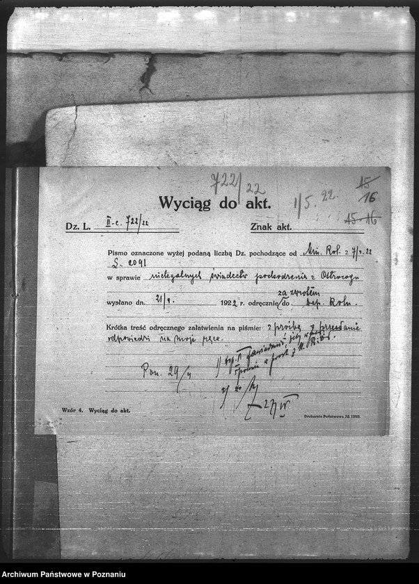 Obraz 19 z jednostki "Leśnictwo"