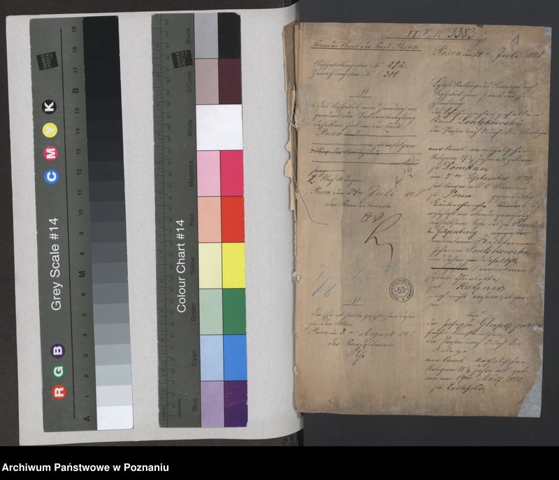 Obraz 3 z jednostki "Die von den Verlobten beigebrachten Urkunden zur Eheschliessung pro 1878"