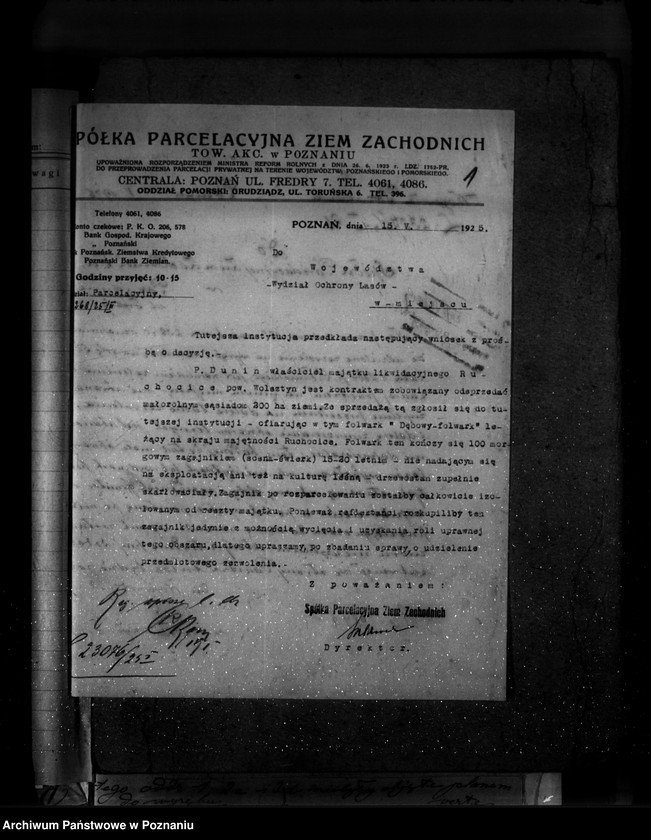 Obraz 5 z jednostki "Majętność leśna Ruchocice powiat wolsztyński"