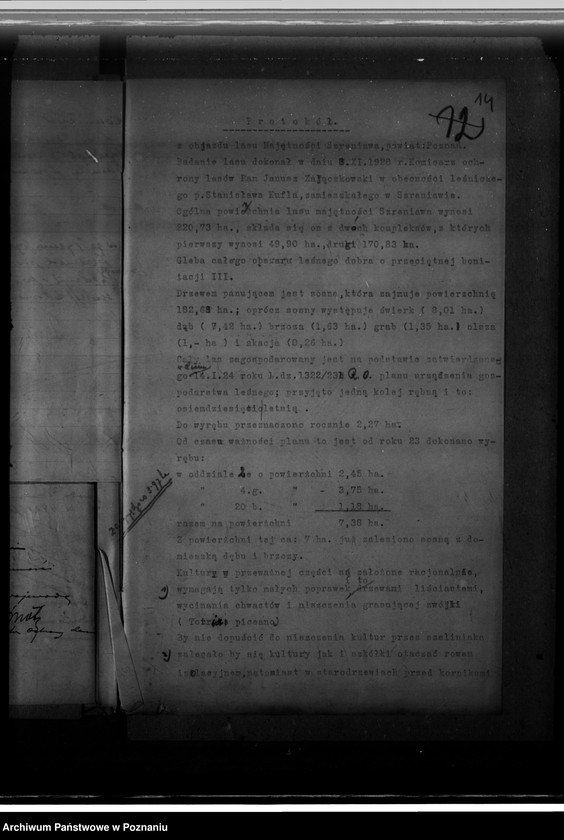 Obraz 18 z jednostki "Nadzór nad gospodarką w lasach majątku Szreniawa powiat poznański"