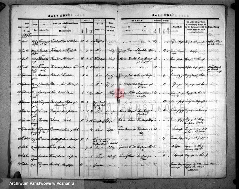 image.from.unit "Duplikat der Verstorbenen"