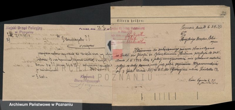 Obraz 19 z jednostki "Błaszkiewicz - Błażejuk"