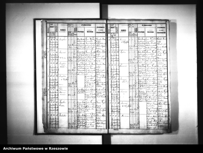 image.from.unit.number "Księga urodzeń - Siedliska"