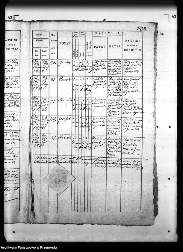 Obraz 12 z jednostki "[Kopie ksiąg metrykalnych parafii Królik Wołoski z filią Królik Polski (dekanat Rymanów)]"