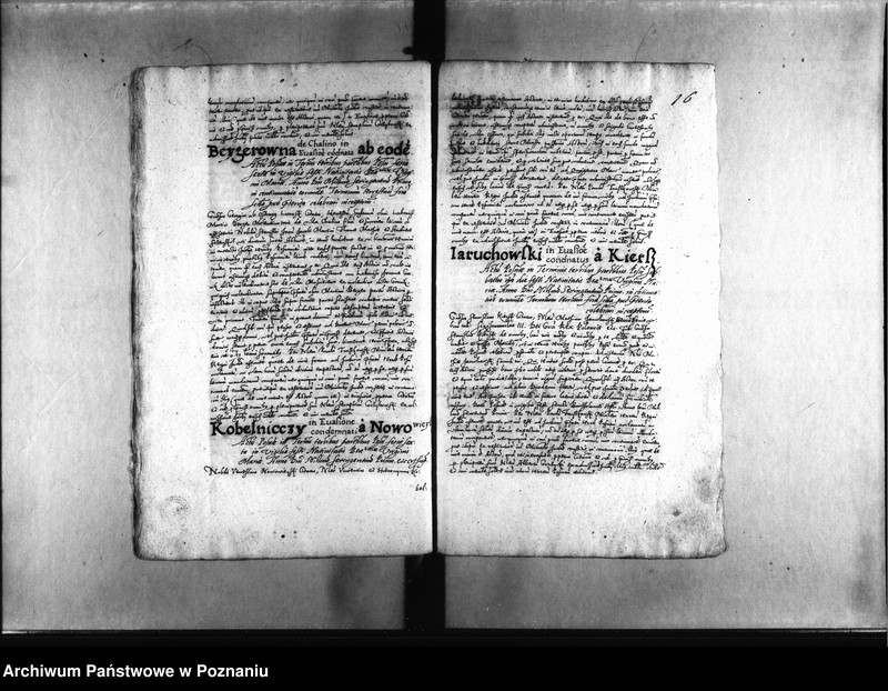 Obraz 20 z jednostki "Decreta [inducta]"