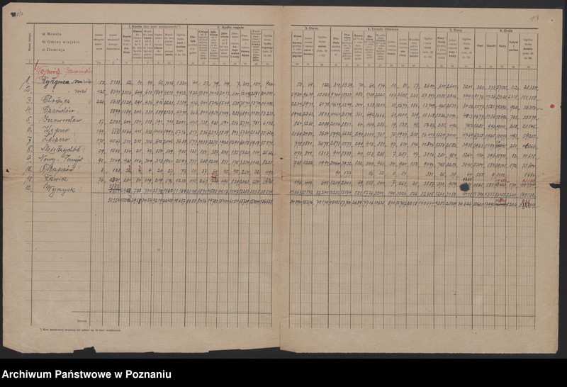 Obraz 11 z jednostki "[Listy powiatowe zapasów ziemniaków w styczniu 1920 roku] oraz spis żywego inwentarza województwa poznańskiego 1 kwietnia 1920 roku]"