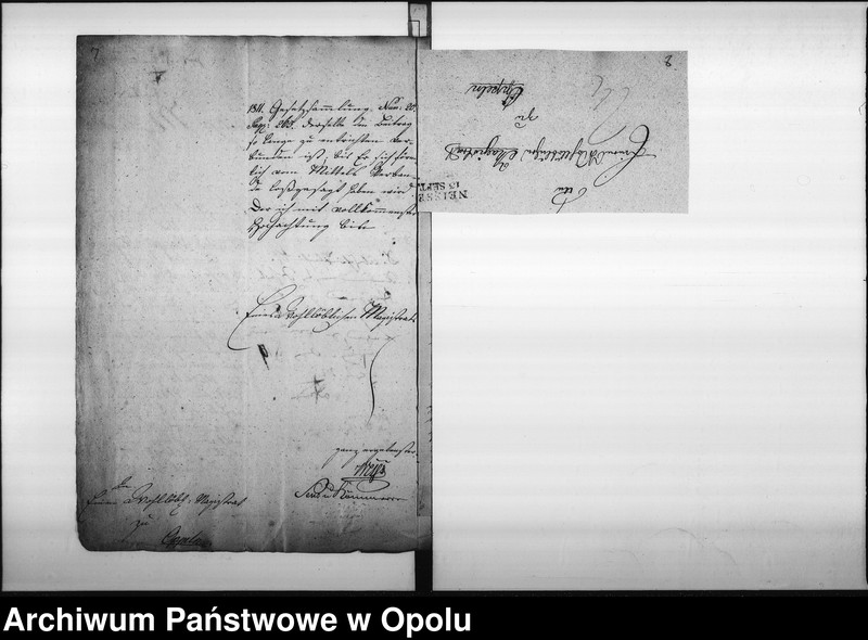 Obraz 10 z jednostki "Acta specialia die Beschwerde des Riemermittels zu Neisse entgegen den hiesigen Riemermeister Joseph Heumann wegen verweigerter Bezahlung der Mittels-Beiträge betreffend Vol: I de anno 1819"