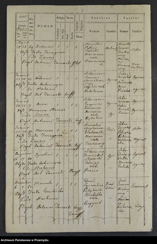 Obraz 11 z jednostki "[Odpisy ksiąg urodzeń, małżeństw, zgonów parafii rzymskokatolickiej Żurów z lat 1823-1827]"