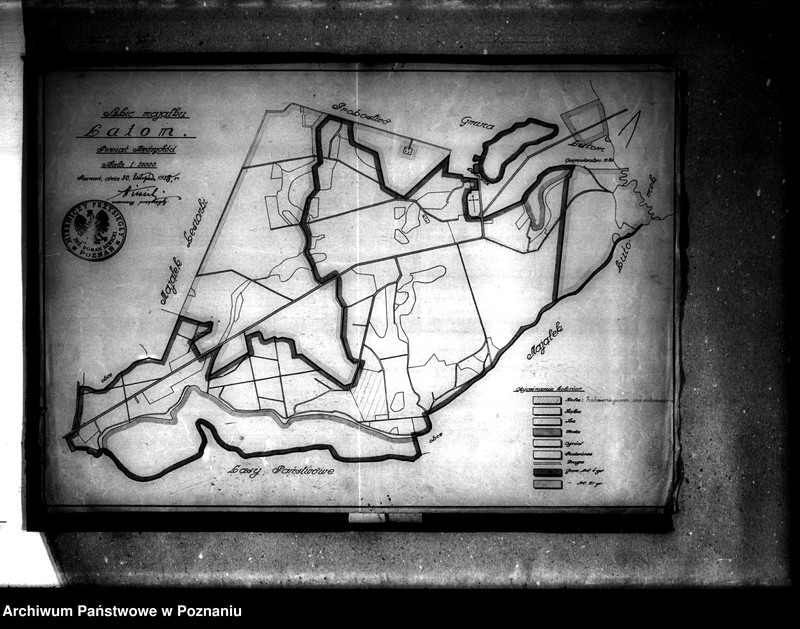 Obraz 5 z jednostki "Majątek Lutom powiatu międzychodzkiego parcelacja"