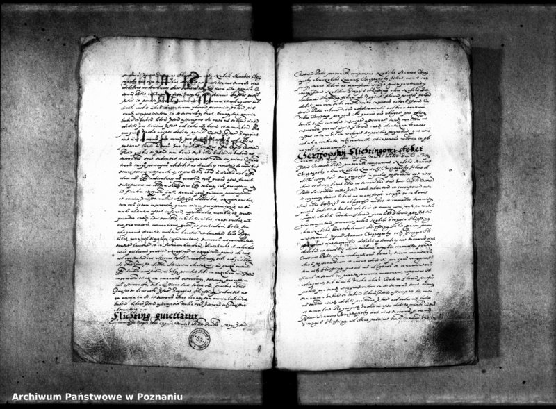 Obraz 7 z jednostki "Inscriptiones [inducta]"