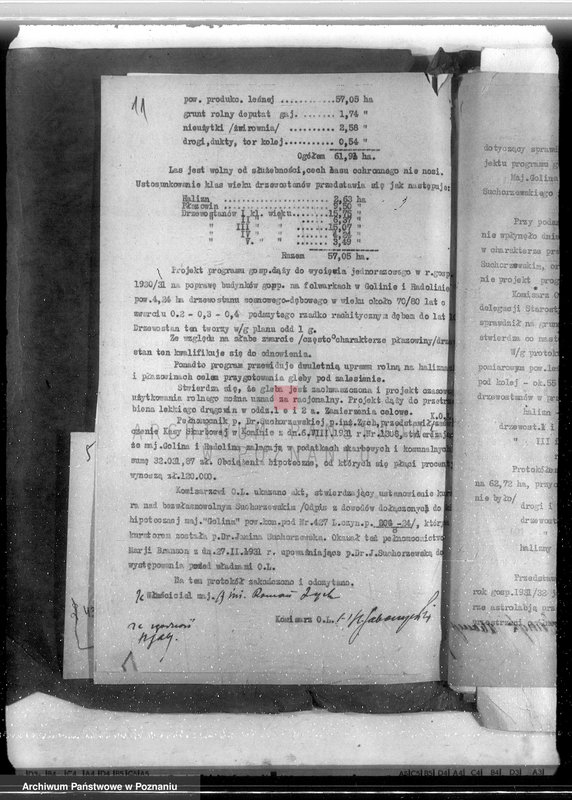 Obraz 15 z jednostki "Majątek Goliński powiat koniński /nadzór nad gospodarką leśna/"