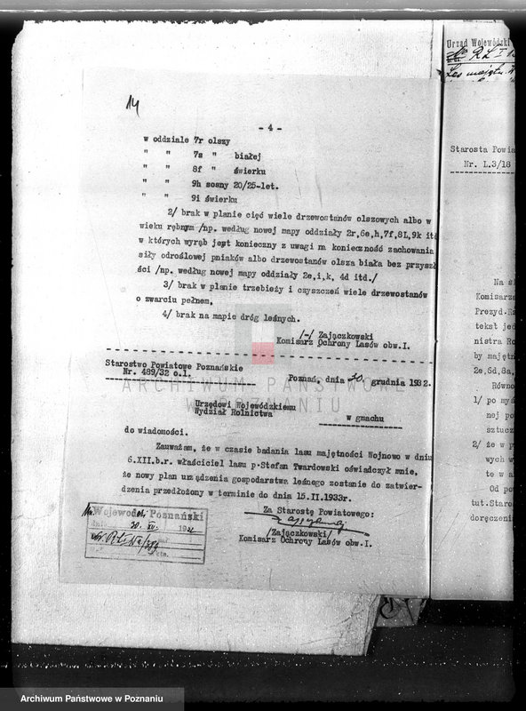 Obraz 18 z jednostki "Nadzór nad gospodarką w lasach majętności Wojnowo powiat obornicki"