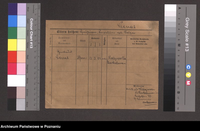 Obraz 3 z jednostki "Genat - Georye"