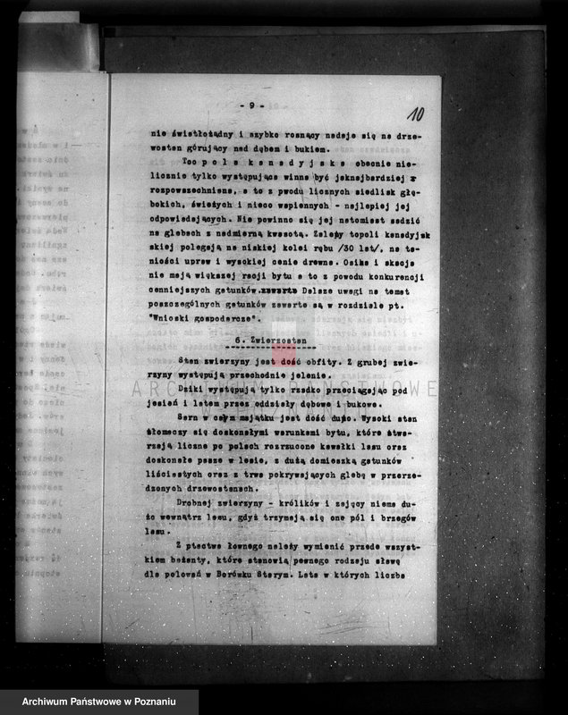 Obraz 14 z jednostki "Plan urządzania gospodarstwa leśnego majętności Borówkowo-Stare powiat. kościański"