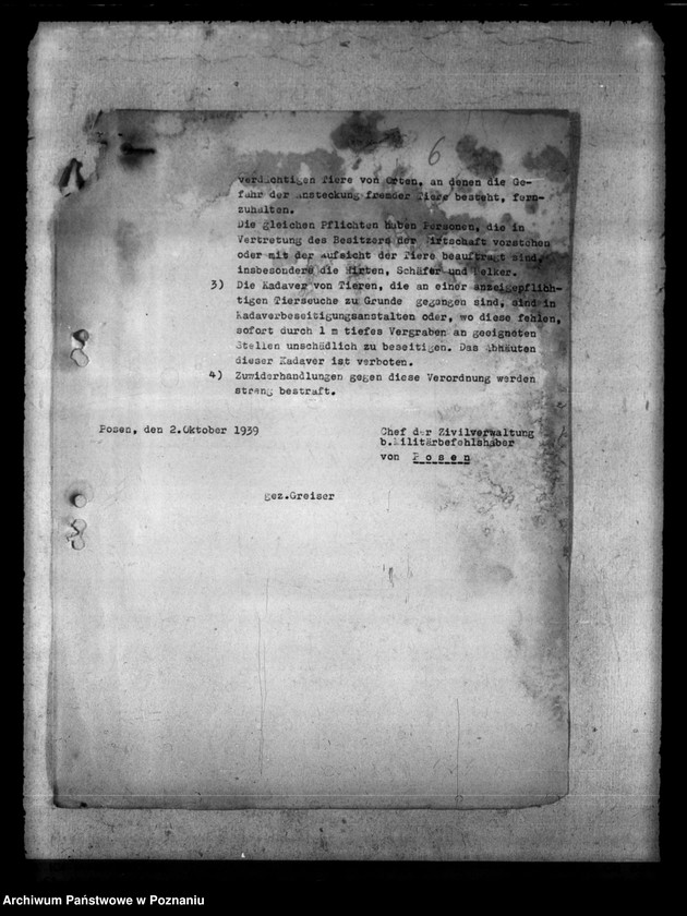 Obraz 10 z jednostki "Tollwut"