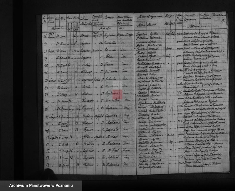 Obraz 6 z jednostki "Liber baptisatorum, copulatorum, mortuorum"