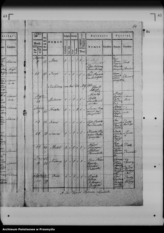 Obraz 19 z jednostki "[Kopie ksiąg metrykalnych parafii Lipowiec (dekanat Lubaczów)]"