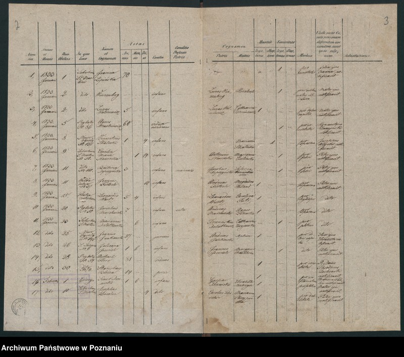 Obraz 4 z jednostki "Księga zgonów"