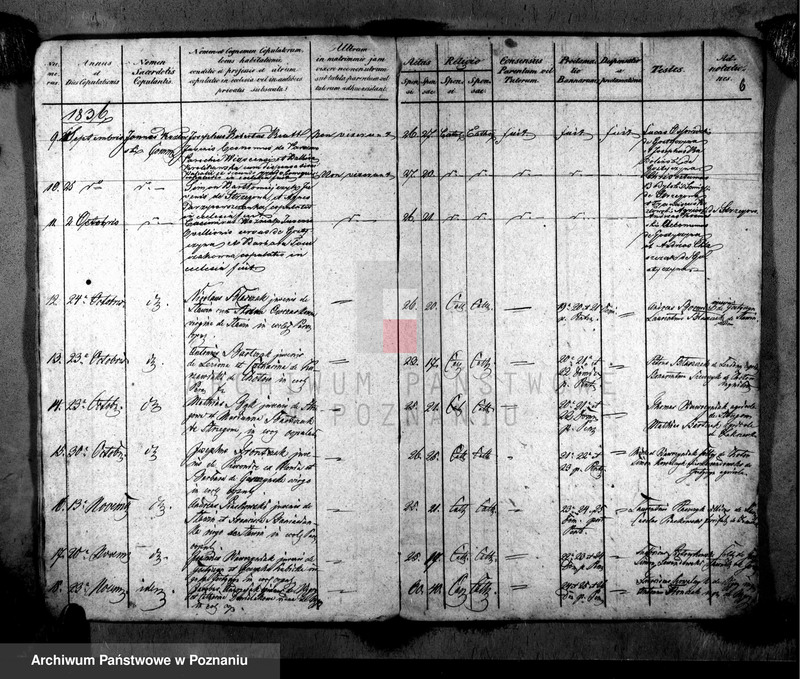image.from.unit.number "Metrices copulatorum"