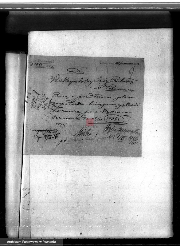 Obraz 6 z jednostki "Nadzór nad gospodarką w lasach majętności Torzeniec powiat kępiński"