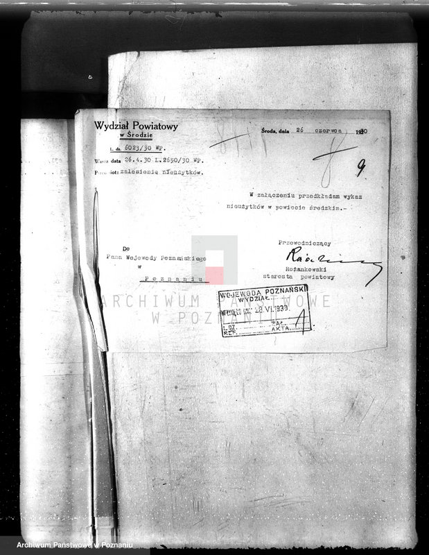 Obraz 16 z jednostki "Zalesienie nieużytków w powiecie średzkim"