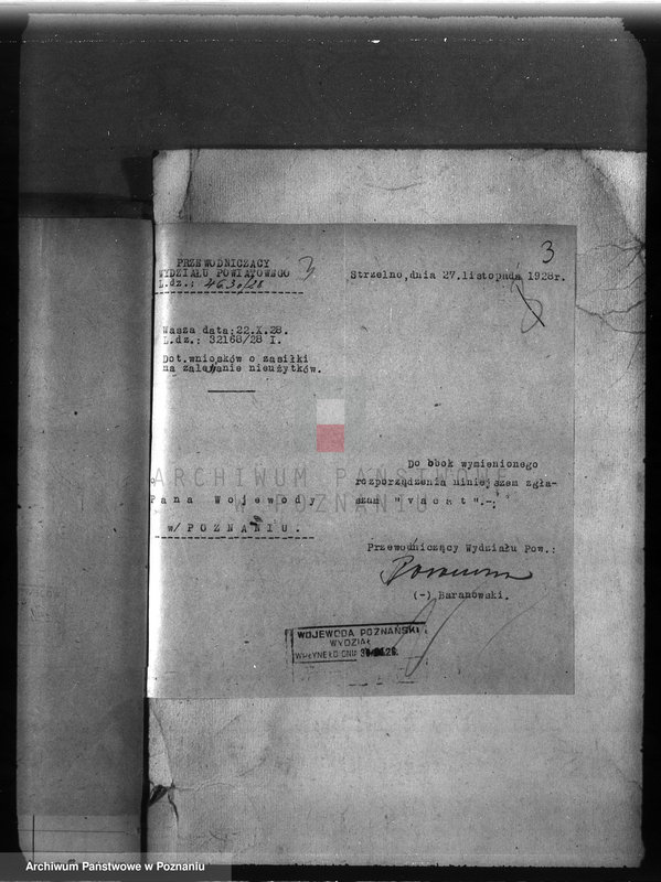 Obraz 7 z jednostki "Zalesienie nieużytków w powiecie mogileńskim"