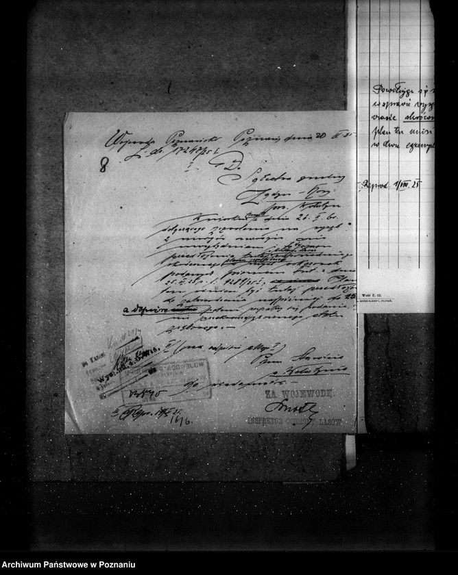 Obraz 12 z jednostki "Las gromady Żodyń Nowy powiat wolsztyński"