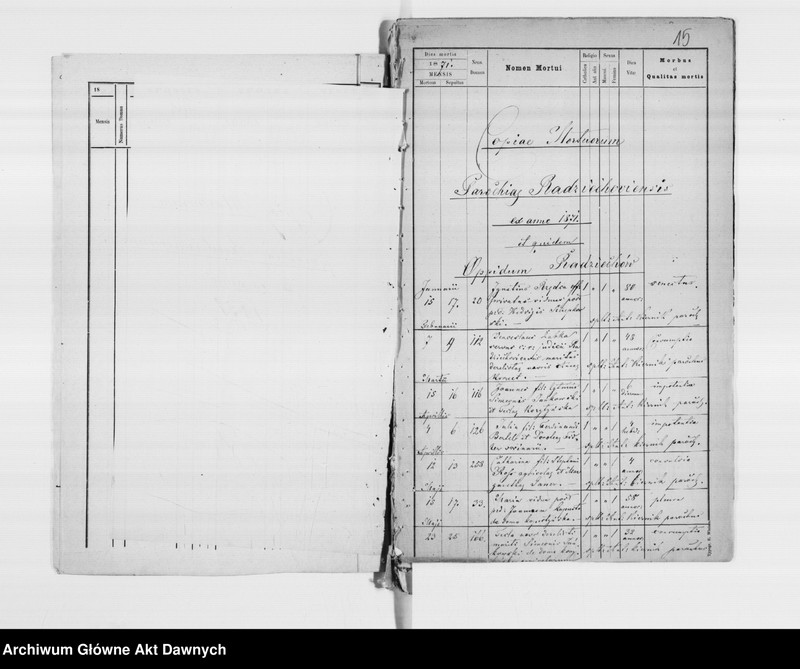 image.from.unit.number "Parafia: Radziechów. Dekanat: Busk. Kopie z ksiąg metrykalnych ur., śl., zg. dla całej parafii (miasto Radziechów i wsie)."