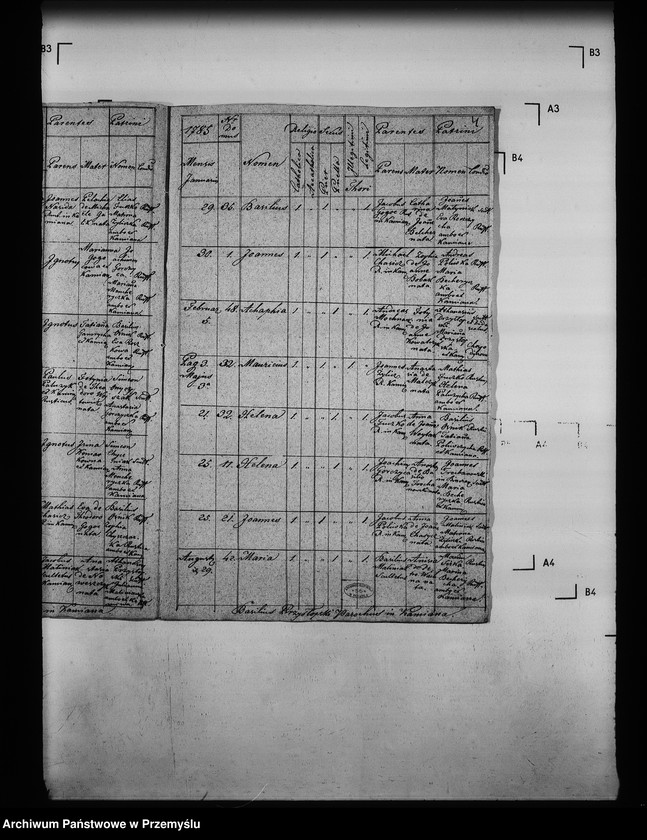 image.from.unit.number "[Kopie ksiąg metrykalnych parafii Kamianna (dekanat Grybów)]"