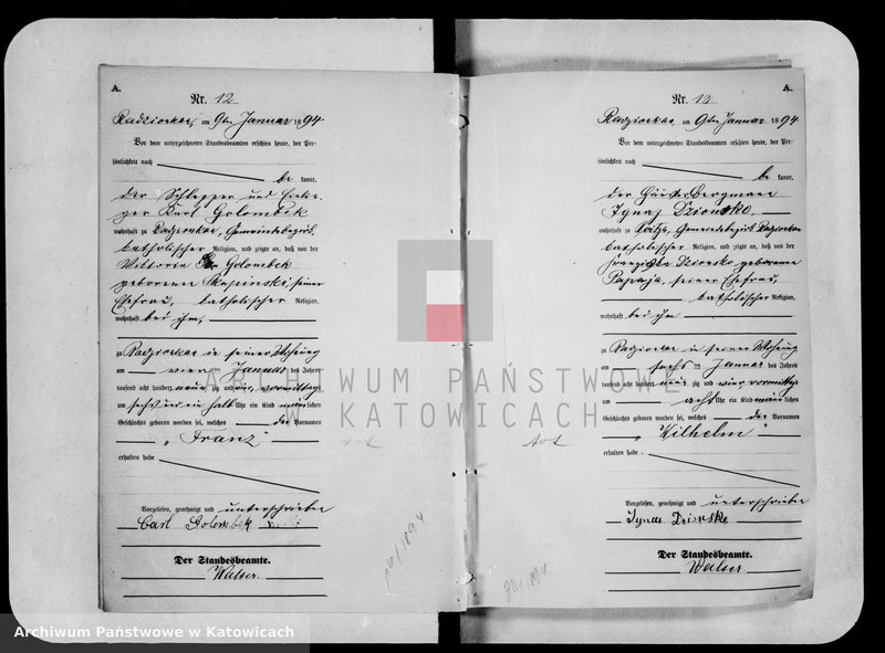 image.from.unit.number "Księga urodzeń za rok 1894 [nr 1-501]"