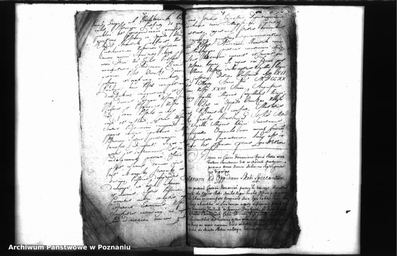 Obraz 10 z jednostki "Relationes [protocollon]"