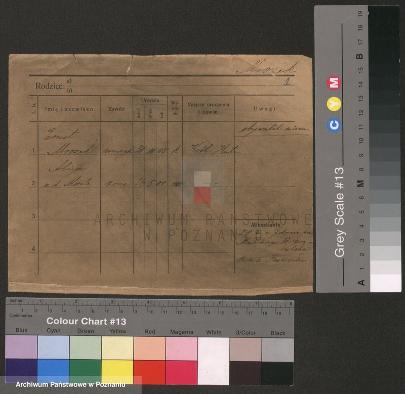 Obraz 1 z jednostki "Mrozek - Mucha"