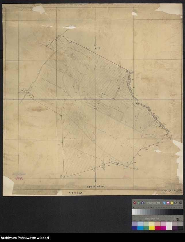 Obraz 1 z jednostki "Huta Drewniana, Wymysłów, Jagodniki, Palki, gmina Kobiele Wielkie, powiat Noworadomski"