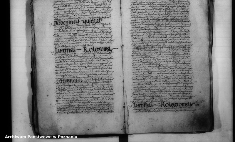 Obraz 17 z jednostki "Inscriptiones [inducta]"