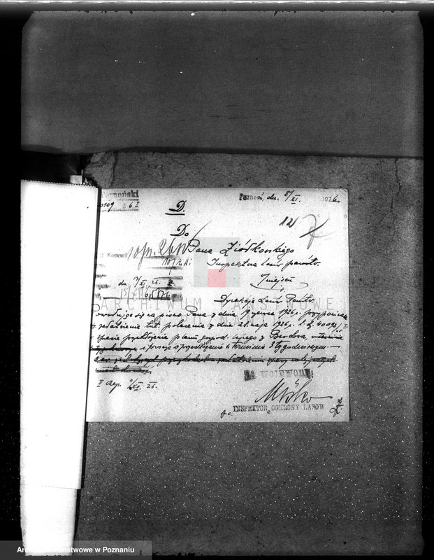 Obraz 16 z jednostki "Majętność leśna Brodowo powiat średzki"