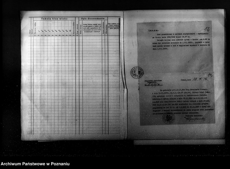 Obraz 12 z jednostki "Program urządzenia gospodarstwa leśnego dla lasu Ernesta Coelle w gminie Kołata powiat poznański 1935-1945"