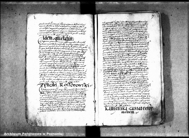 Obraz 11 z jednostki "Inscriptiones, relationes [inducta]"