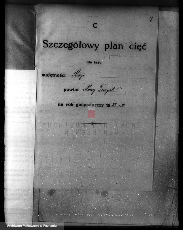 Obraz 14 z jednostki "Plan urządzenia gospodarstwa leśnego dla lasu majętności Lizie powiat nowotomyski"