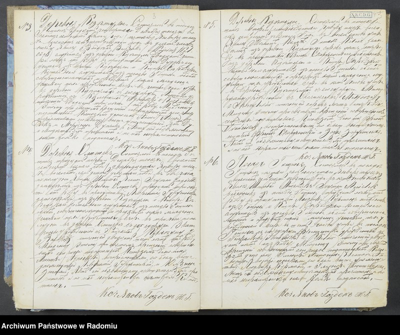 Obraz z jednostki "[Duplikat akt urodzonych, zaślubionych i zmarłych parafii Goszczyn za 1879]"