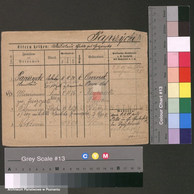 Obraz 1 z jednostki "Paprzycki - Pasiak"