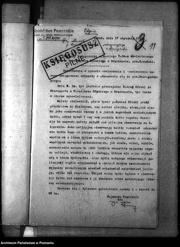 Obraz 16 z jednostki "Księgosusz - Toruń"