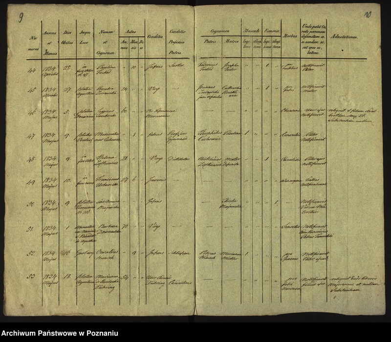 Obraz 8 z jednostki "Księga zgonów"