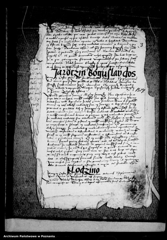 Obraz 7 z jednostki "Resignationes [inducta]"